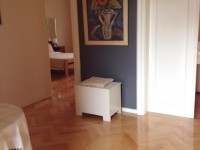 City center - newly renovated apartment